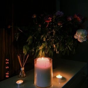 Meet your Posher, Paloma